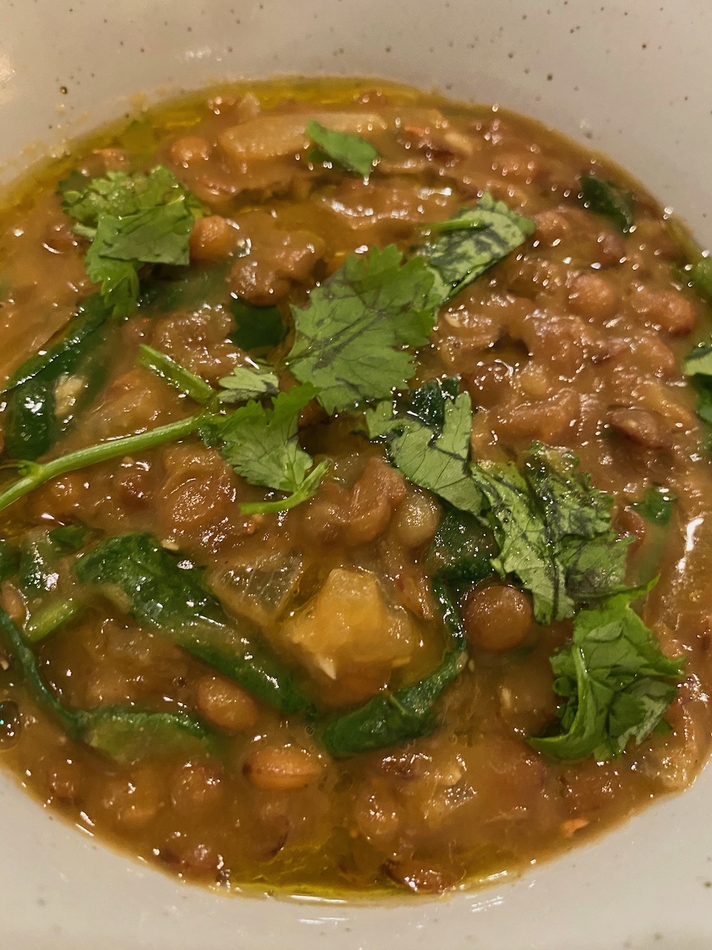 Hearty spinach lentil stew is ready!